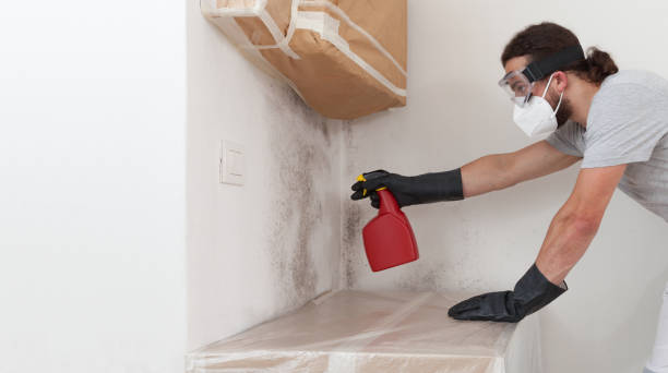 Professional Mold Remediation technician working in Levittown, NY