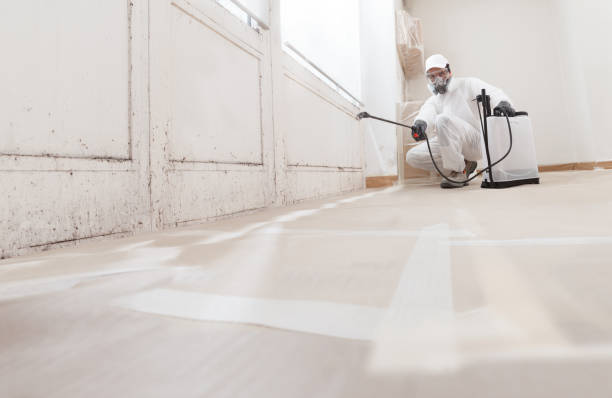 24/7 Emergency Mold Remediation experts in Levittown, NY