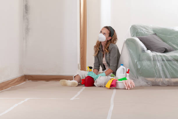 Reliable Mold Remediation contractor in Levittown, NY by Cheap Mold Removal
